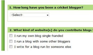 Blogger survey-page-001